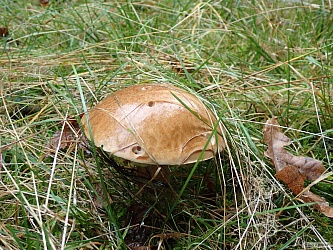 kliknutím fotku zvětšíte