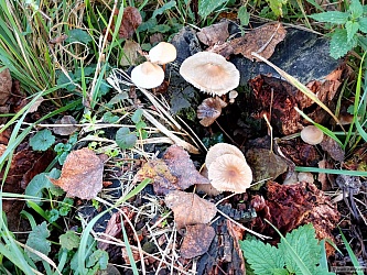 kliknutím fotku zvětšíte