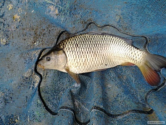 kliknutím fotku zvětšíte