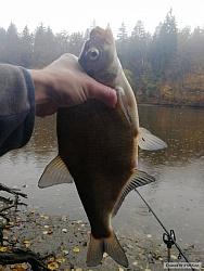 kliknutím fotku zvětšíte