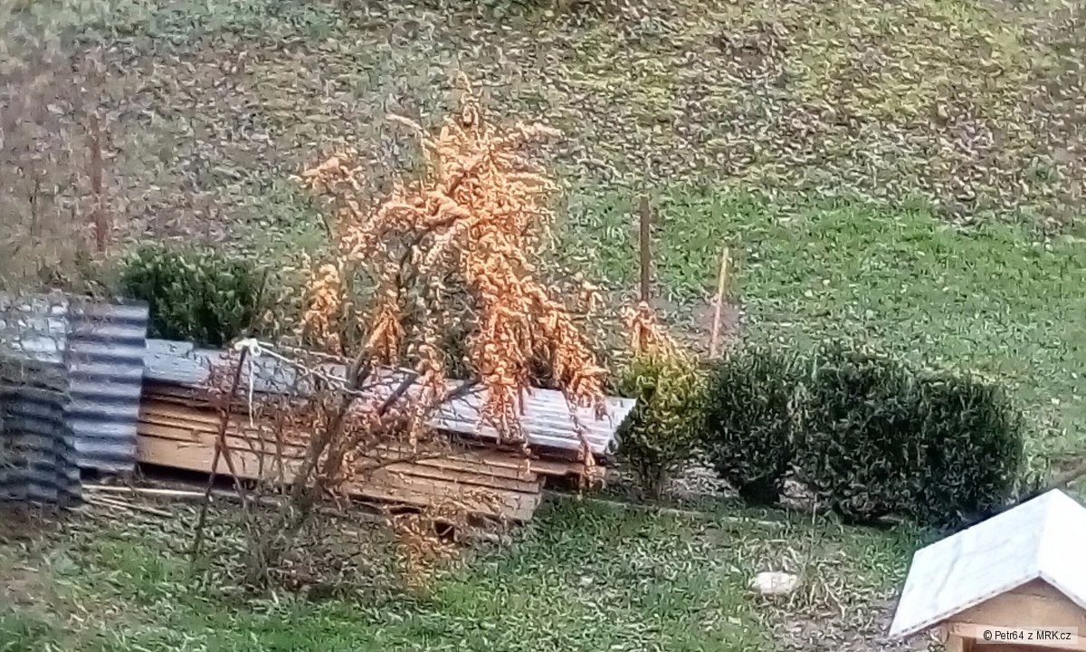kliknutím fotku zvětšíte