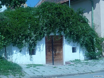 kliknutím fotku zvětšíte