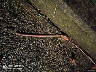 kliknutím fotku zvětšíte