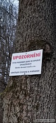 kliknutím fotku zvětšíte