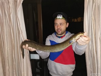 kliknutím fotku zvětšíte