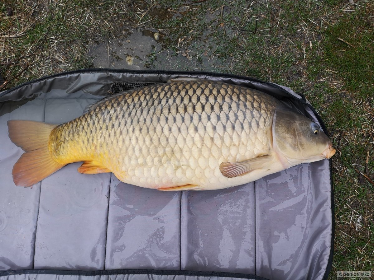 kliknutím fotku zvětšíte