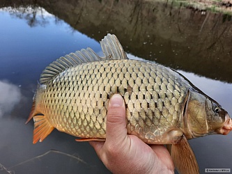kliknutím fotku zvětšíte