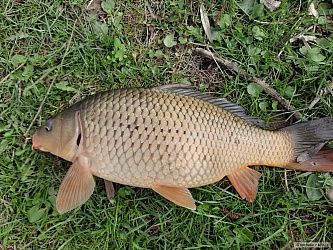kliknutím fotku zvětšíte