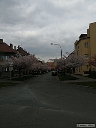 kliknutím fotku zvětšíte