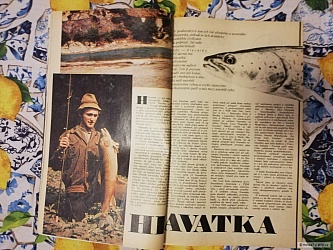 kliknutím fotku zvětšíte