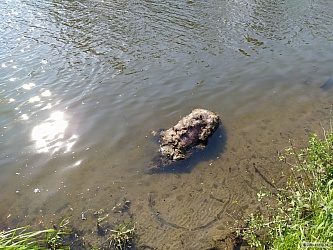 kliknutím fotku zvětšíte