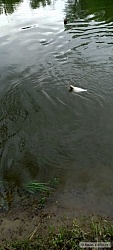 kliknutím fotku zvětšíte