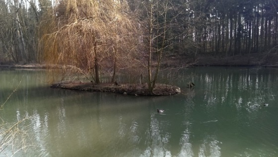 kliknutím fotku zvětšíte