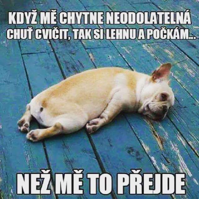 kliknutím fotku zvětšíte