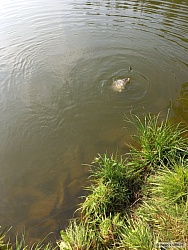 kliknutím fotku zvětšíte