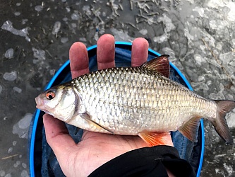 kliknutím fotku zvětšíte