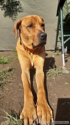 kliknutím fotku zvětšíte