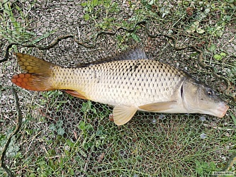 kliknutím fotku zvětšíte