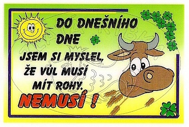 kliknutím fotku zvětšíte