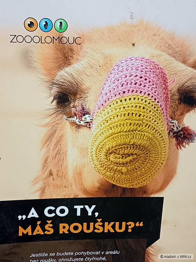 kliknutím fotku zvětšíte