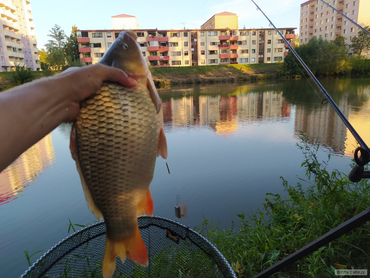 kliknutím fotku zvětšíte