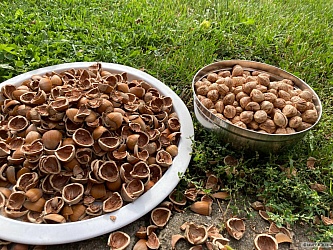 kliknutím fotku zvětšíte