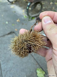 kliknutím fotku zvětšíte