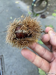 kliknutím fotku zvětšíte