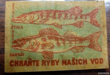 kliknutím fotku zvětšíte
