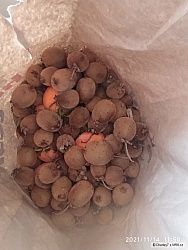 kliknutím fotku zvětšíte