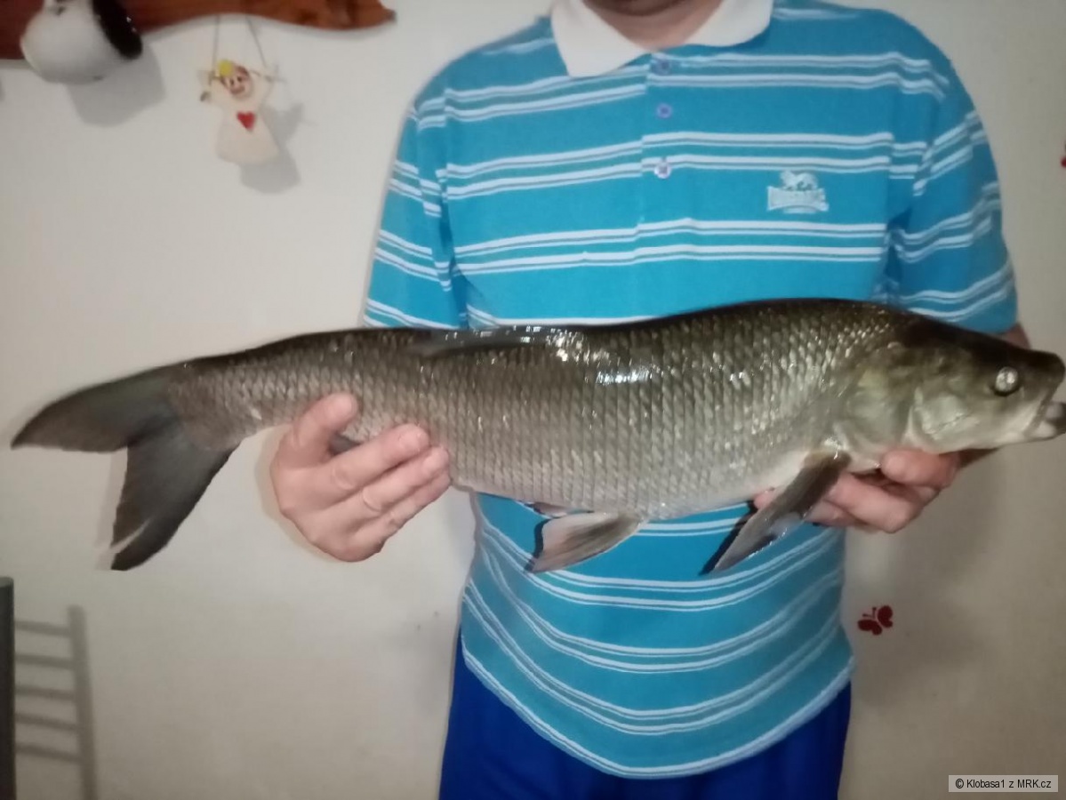 kliknutím fotku zvětšíte