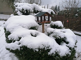 kliknutím fotku zvětšíte