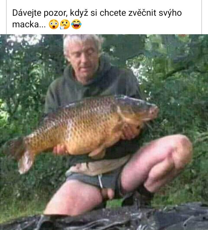 kliknutím fotku zvětšíte
