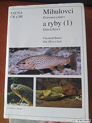 kliknutím fotku zvětšíte