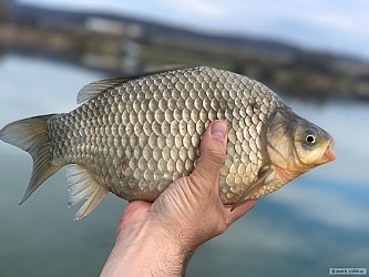 kliknutím fotku zvětšíte