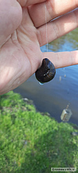 kliknutím fotku zvětšíte