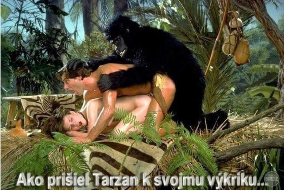 kliknutím fotku zvětšíte