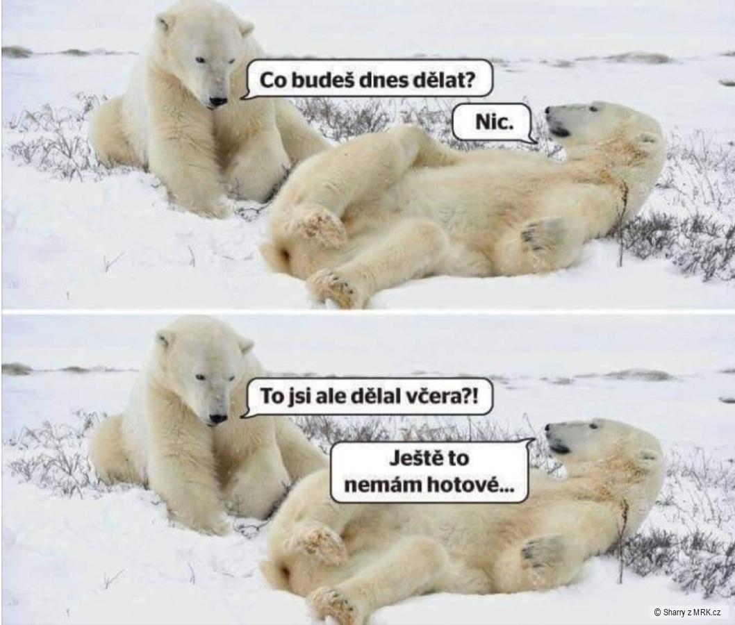 kliknutím fotku zvětšíte