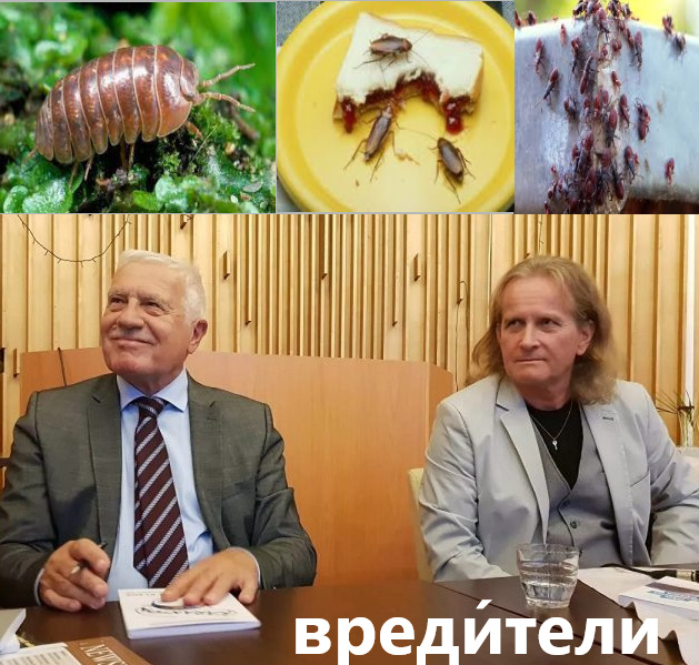 kliknutím fotku zvětšíte