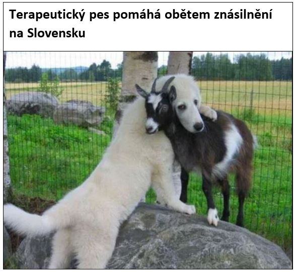 kliknutím fotku zvětšíte