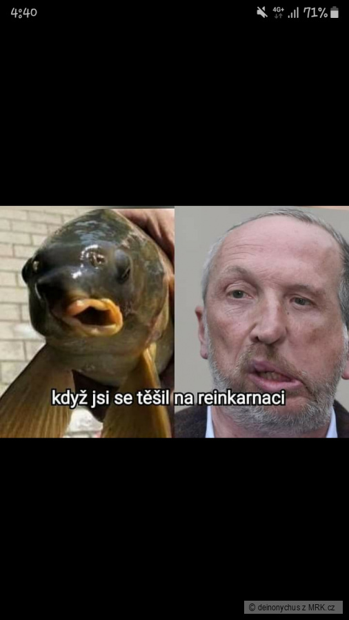 kliknutím fotku zvětšíte