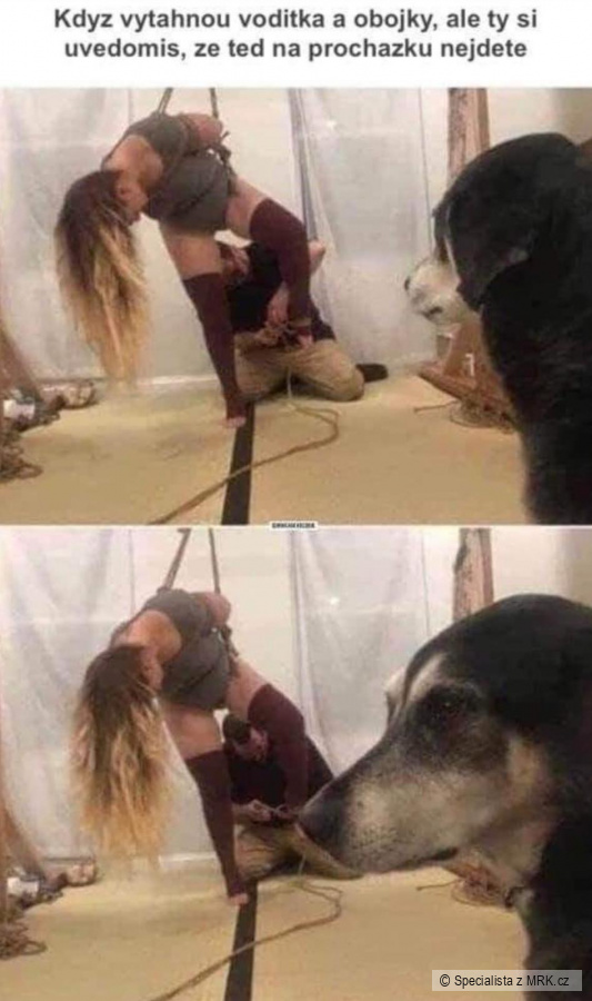kliknutím fotku zvětšíte