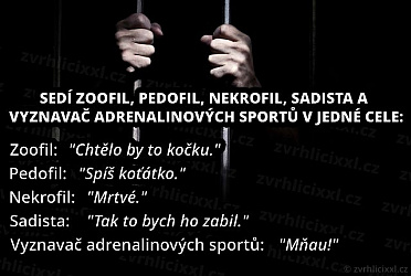 kliknutím fotku zvětšíte