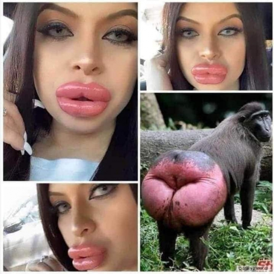 kliknutím fotku zvětšíte