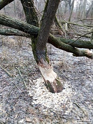 kliknutím fotku zvětšíte