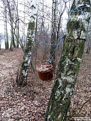 kliknutím fotku zvětšíte