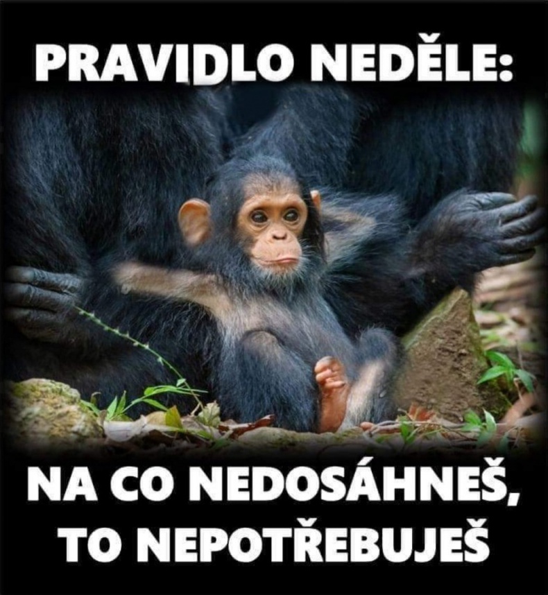 kliknutím fotku zvětšíte