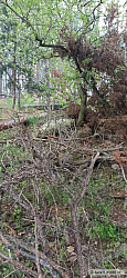 kliknutím fotku zvětšíte