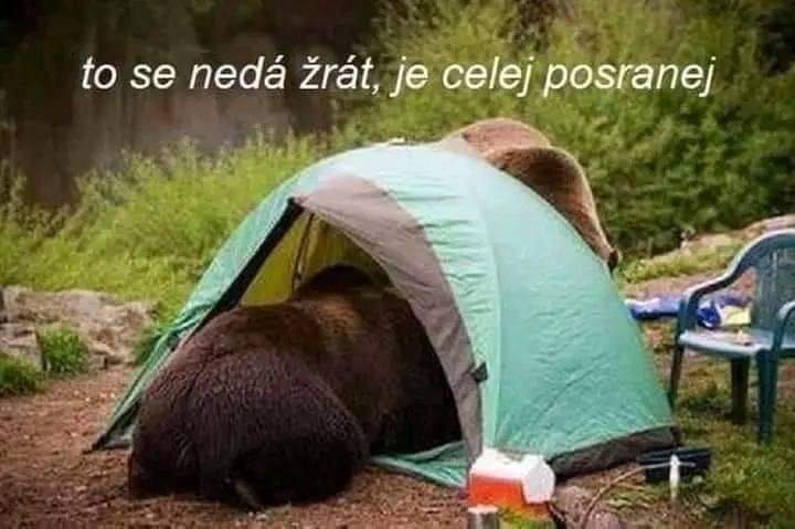kliknutím fotku zvětšíte