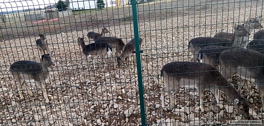 kliknutím fotku zvětšíte